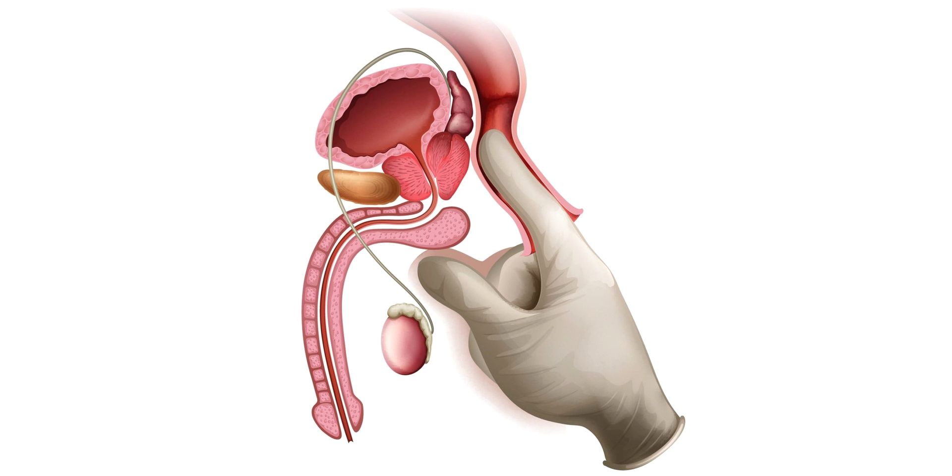 Массаж простаты крупным планом